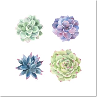 Four Succulents Posters and Art